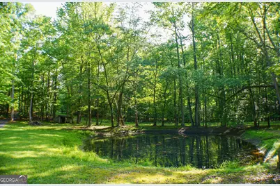 335 Winding Stream Trail, Hampton, GA 30228 - Photo 35