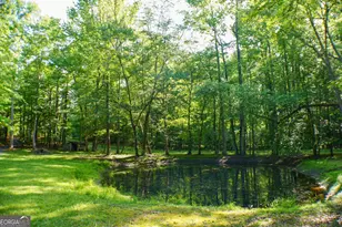 335 Winding Stream Trail, Hampton, GA 30228 - Photo 35