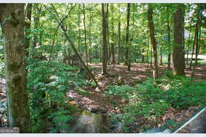 335 Winding Stream Trail, Hampton, GA 30228 - Photo 33