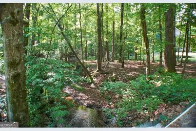 335 Winding Stream Trail, Hampton, GA 30228 - Photo 33