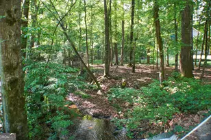 335 Winding Stream Trail, Hampton, GA 30228 - Photo 33