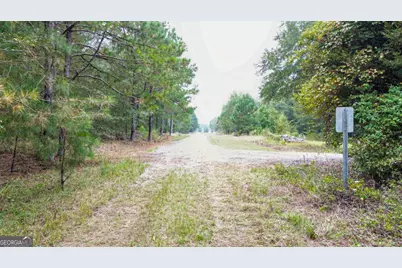 0 Willow Creek Drive, Oglethorpe, GA 31068 - Photo 5