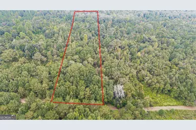 0 Willow Creek Drive, Oglethorpe, GA 31068 - Photo 1