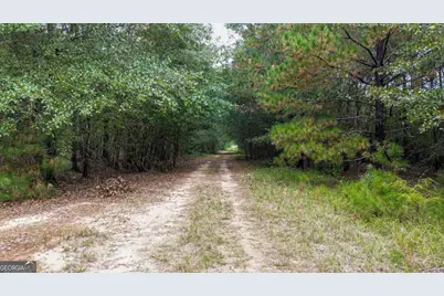 0 Willow Creek Drive, Oglethorpe, GA 31068 - Photo 3