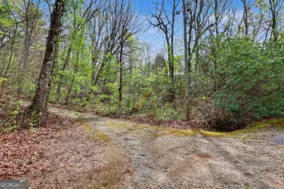 245 Lookout Ridge, Clayton, GA 30525 - Photo 55
