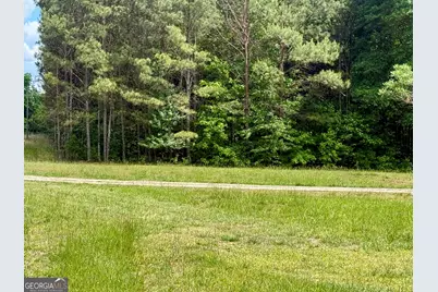 460 Highway 3 N, Hampton, GA 30228 - Photo 3