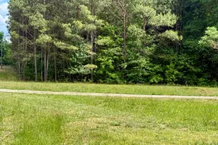 460 Hwy 3 N, Hampton, GA 30228 - Photo 3