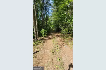 8235 West Carroll Road, Whitesburg, GA 30185 - Photo 3