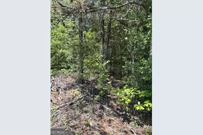 7.66 Acs Keener Road, Toccoa, GA 30577 - Photo 5