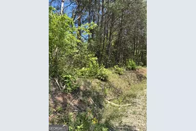 7.66 Acs Keener Road, Toccoa, GA 30577 - Photo 9