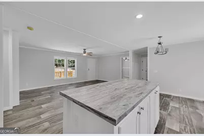 3442 Highway 29 S, Colbert, GA 30629 - Photo 23