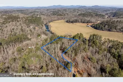 517 Ridge Road, Blue Ridge, GA 30513 - Photo 45