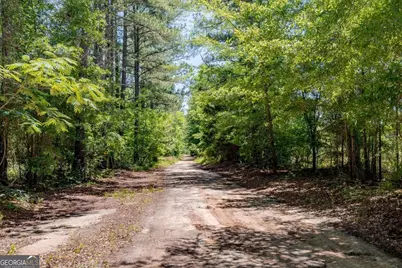283 Limestone Road, Cochran, GA 31014 - Photo 5