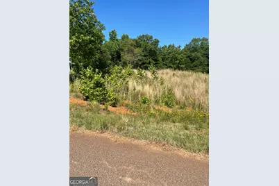 Lot 13 D Nails Creek Xing, Royston, GA 30662 - Photo 5