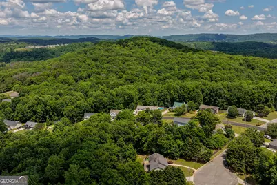 40 Brookside Drive, Ringgold, GA 30736 - Photo 51