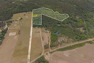 2973 Buttermilk Rd, Sylvania, GA 30467 - Photo 43
