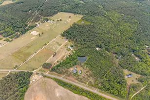 2973 Buttermilk Rd, Sylvania, GA 30467 - Photo 19