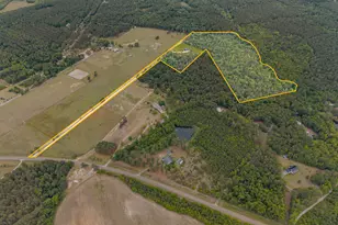 2973 Buttermilk Rd, Sylvania, GA 30467 - Photo 5