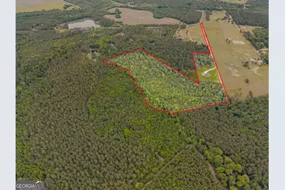 2973 Buttermilk Road, Sylvania, GA 30467 - Photo 3