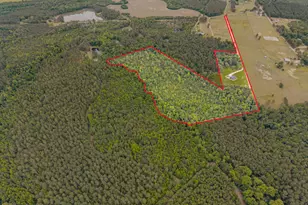 2973 Buttermilk Rd, Sylvania, GA 30467 - Photo 3