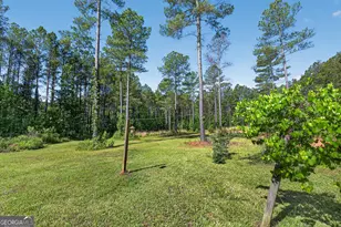 459 Bethel Church Rd, Luthersville, GA 30251 - Photo 33