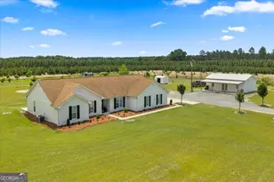 491 Pecan Rd, Cobb, GA 31735 - Photo 77