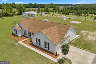 491 Pecan Rd, Cobb, GA 31735 - Photo 65