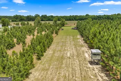 491 Pecan Road, Cobb, GA 31735 - Photo 67