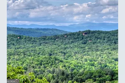 28.4 Ac Black Dog Trail, Morganton, GA 30540 - Photo 5