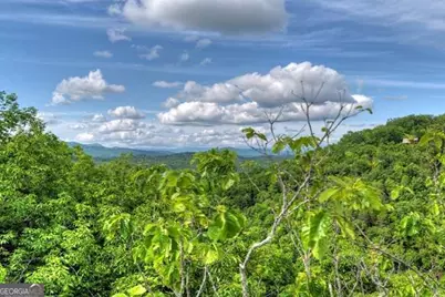 28.4 Ac Black Dog Trail, Morganton, GA 30540 - Photo 3
