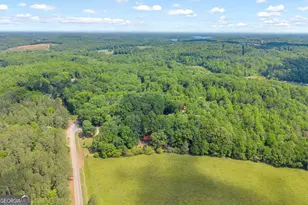 70 Old Chism Trail, Lavonia, GA 30553 - Photo 47