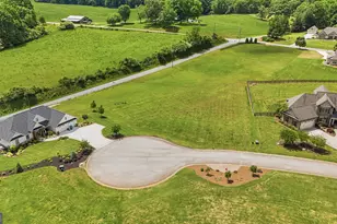 Lot 40 Meadow Run Ct, Clarkesville, GA 30523 - Photo 1