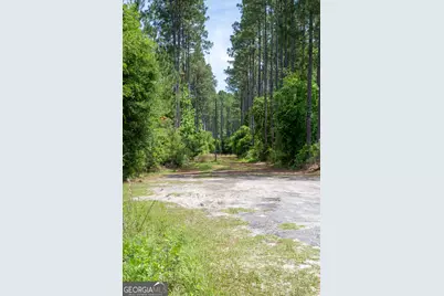 1352 Old Doctortown Road, Jesup, GA 31545 - Photo 5