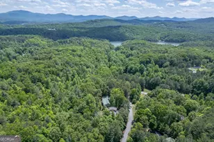 40 Caledonia Dr, Blairsville, GA 30512 - Photo 55