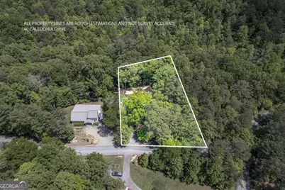 40 Caledonia Drive, Blairsville, GA 30512 - Photo 57