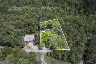 40 Caledonia Dr, Blairsville, GA 30512 - Photo 57