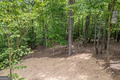 40 Caledonia Drive, Blairsville, GA 30512 - Photo 43