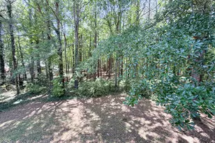 2028 Windfield Dr, Monroe, GA 30655 - Photo 51