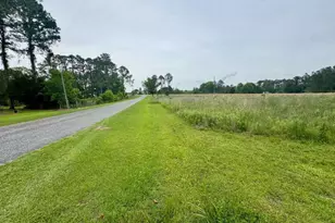 Tract 3 Grimsley Rd, Tifton, GA 31794 - Photo 1