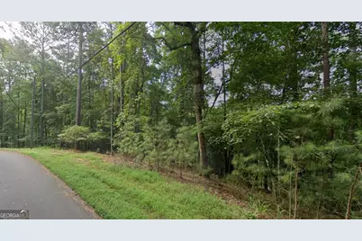 0 Mango Lane #LOT 704, Ellijay, GA 30540 - Photo 5