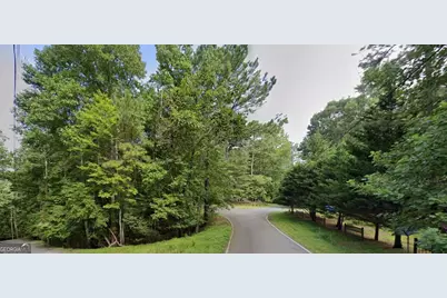 0 Mango Lane #LOT 704, Ellijay, GA 30540 - Photo 1