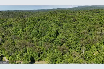 0 Gold Springs Road, Cherrylog, GA 30522 - Photo 5