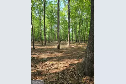 135 Lakeshore Drive, Eatonton, GA 31024 - Photo 3