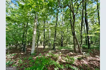 0 Leola Road, Douglasville, GA 30135 - Photo 13