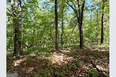 0 Leola Road, Douglasville, GA 30135 - Photo 9