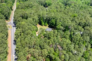 208 Camp Creek Trail, Peachtree City, GA 30269 - Photo 83