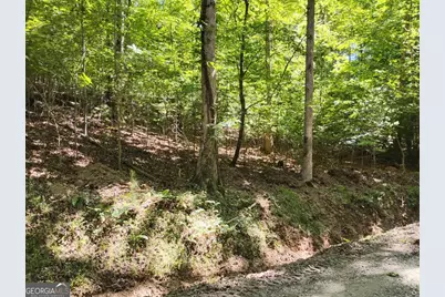 0 Gladstone Court #967, 968, Ellijay, GA 30540 - Photo 11