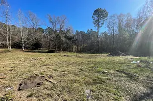 998 Campbell Rd, Meansville, GA 30256 - Photo 3