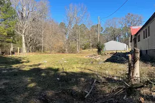 998 Campbell Rd, Meansville, GA 30256 - Photo 27