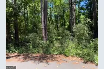 0 Windsor Way, Newnan, GA 30263 - Photo 5